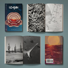 Load image into Gallery viewer, Lo-Pan - Subtle